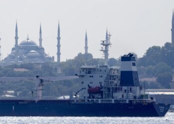 3 More Ships Loaded With Grain Leave Ukraine Ports