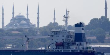 3 More Ships Loaded With Grain Leave Ukraine Ports