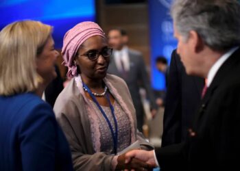 Nigeria: Parliament Summons Finance Minister, Wants Details Of Expenditure On Petrol Subsidy