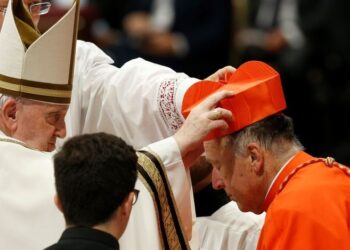 Pope Stamps Future Of Catholic Church With New Cardinals