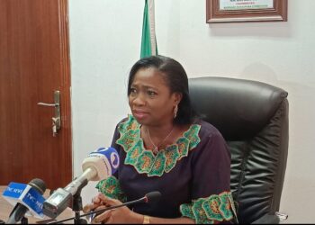 Profiling Of Stranded Nigerians In UAE Ongoing- Dabiri-Erewa