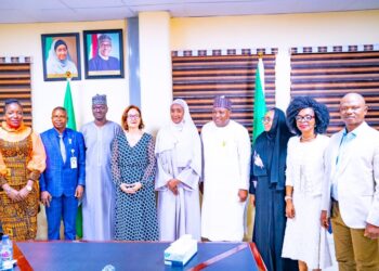Nigeria: FG Pledges Commitment To Multi Sectoral Investments In Older Persons