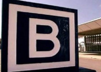 German Construction Giant Julius Berger Now Exporter Of Nigerian Cashew Nuts