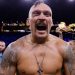 Joshua’s Conqueror, Usyk, Unveils Retirement Plans