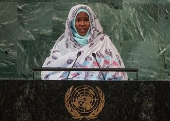 Chad Demands Permanent African Seats At UN Security Council