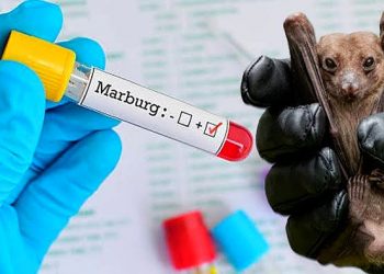 Ghana Officially Declares End Of Marburg Virus Outbreak