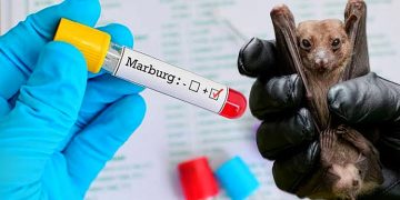 Ghana Officially Declares End Of Marburg Virus Outbreak