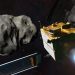 NASA’s DART Mission Successfully Crashes Spacecraft Into Asteroid