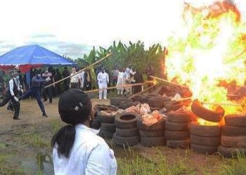 Nigeria's Anti-drug Agency Destroys Biggest Seizure Of Cocaine