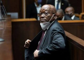 South Africa: Ex-President Jacob Zuma Freed From Prison