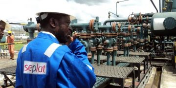 Nigeria’s Seplat Energy Urges Global Community To Seek Gas Supply From Africa