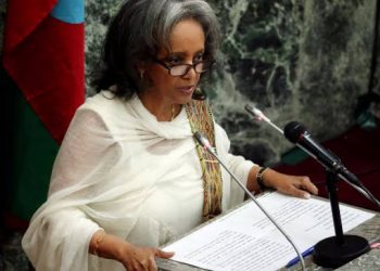Ethiopia: President Zewde Seeks Negotiations To End Tigray War