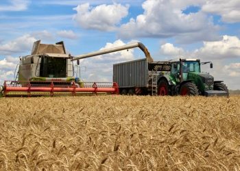 Russia Suspend UN Brokered Grain Export Deal With Ukraine