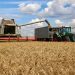 Russia Suspend UN Brokered Grain Export Deal With Ukraine