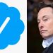 Twitter: Elon Musk Plans $20 Charge For Verified Users