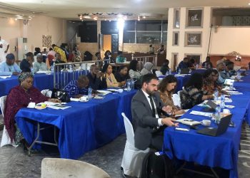 Nigeria: NiDCOM, IOM Parley On Better Diaspora Relations