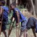Campaigners Urge Nigeria To Adopt Landmark Disability Law
