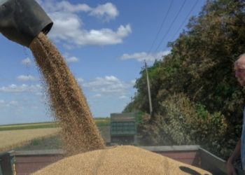 Russia Announces Resumption In Grain Trade Deal With Ukraine