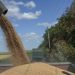 Russia Announces Resumption In Grain Trade Deal With Ukraine