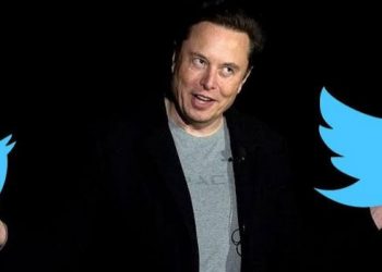 Twitter Employees Sue Elon Musk As Massive Layoff Looms