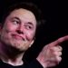 Elon Musk To Find New Leader For Twitter
