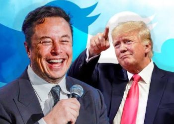 Elon Musk Lifts Donald Trump’s Twitter Ban After Online Poll
