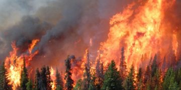 Multiple Fire Ravages Mount Kilimanjaro Killing Wildlife, Vegetation