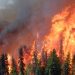 Multiple Fire Ravages Mount Kilimanjaro Killing Wildlife, Vegetation