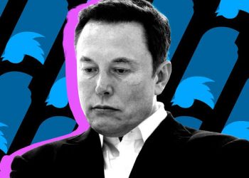 Elon Musk Warns That Twitter Could Go Bankrupt, As Top Executives Leave