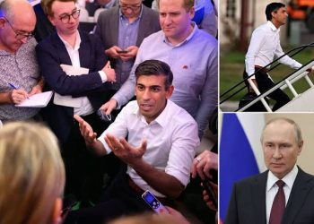 Rishi Sunak Attacks Putin For Boycotting G20 Summit, Labels Russia A Rogue State