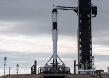 SpaceX To Launch Tomato Seeds, Other Supplies To Space Station