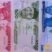 Redesigned Naira Notes Here to Stay, Says Nigeria's Central Bank