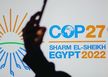 COP27: Nigeria Needs $10bn To Deliver Energy Connections In Rural Areas- REA