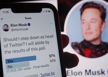 Elon Musk To Step Down As Twitter Boss Following Poll By Users