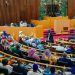 Brawl In Senegalese Parliament As Male Lawmaker Slaps Female Colleague