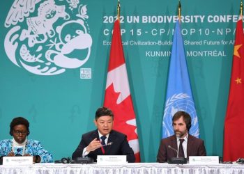 COP15: UN Convention Ready To Reverse Global Diversity Loss — China Ecology Minister