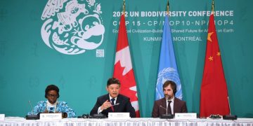 COP15: UN Convention Ready To Reverse Global Diversity Loss — China Ecology Minister