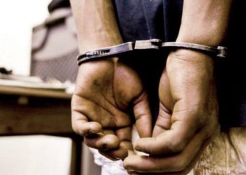 Interpol Arrest Wanted Mozambican Kidnap Kingpin In South Africa