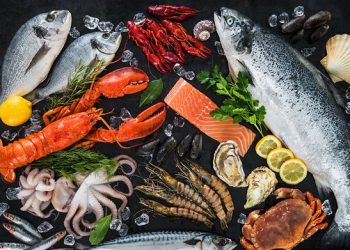 EU Bans Cameroon From Exporting Seafood To Member States