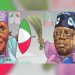 Atiku/Tinubu: Please, Grow Up! 