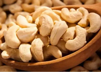Five Cashew Companies In Ivory Coast Seek Aid Extension