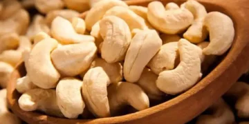 Five Cashew Companies In Ivory Coast Seek Aid Extension