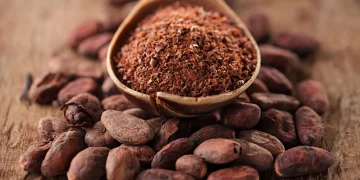 Ghana: Cocoa Farmers Urged To Embrace Cocoa Pruning Exercise