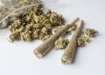 Saudi Arabia Busts 81kg Of Cannabis At Border Crossing