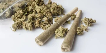 Saudi Arabia Busts 81kg Of Cannabis At Border Crossing