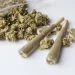 Saudi Arabia Busts 81kg Of Cannabis At Border Crossing