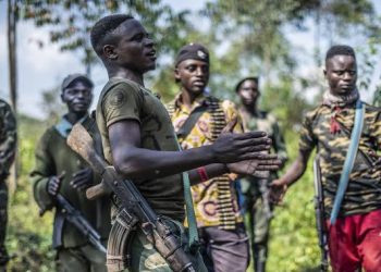 EU Accuses Rwanda Of Providing Support To M23 Rebel Group