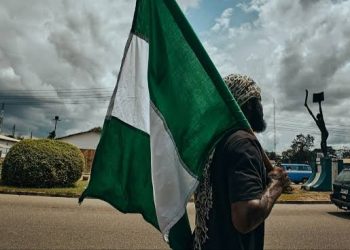 Nigeria Reports Rise In Renunciation Of Citizenship