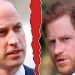 Prince Harry Accuses His Brother William Of Physical Attack In New Book