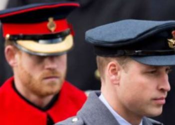 Prince Harry Interview Reveals Sibling Rivalry Over Africa